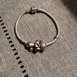 Pandora Charm Bracelet